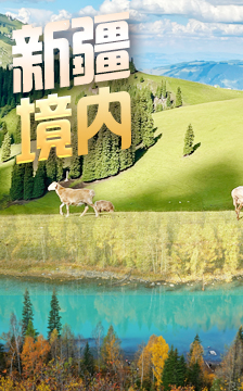 新疆境内